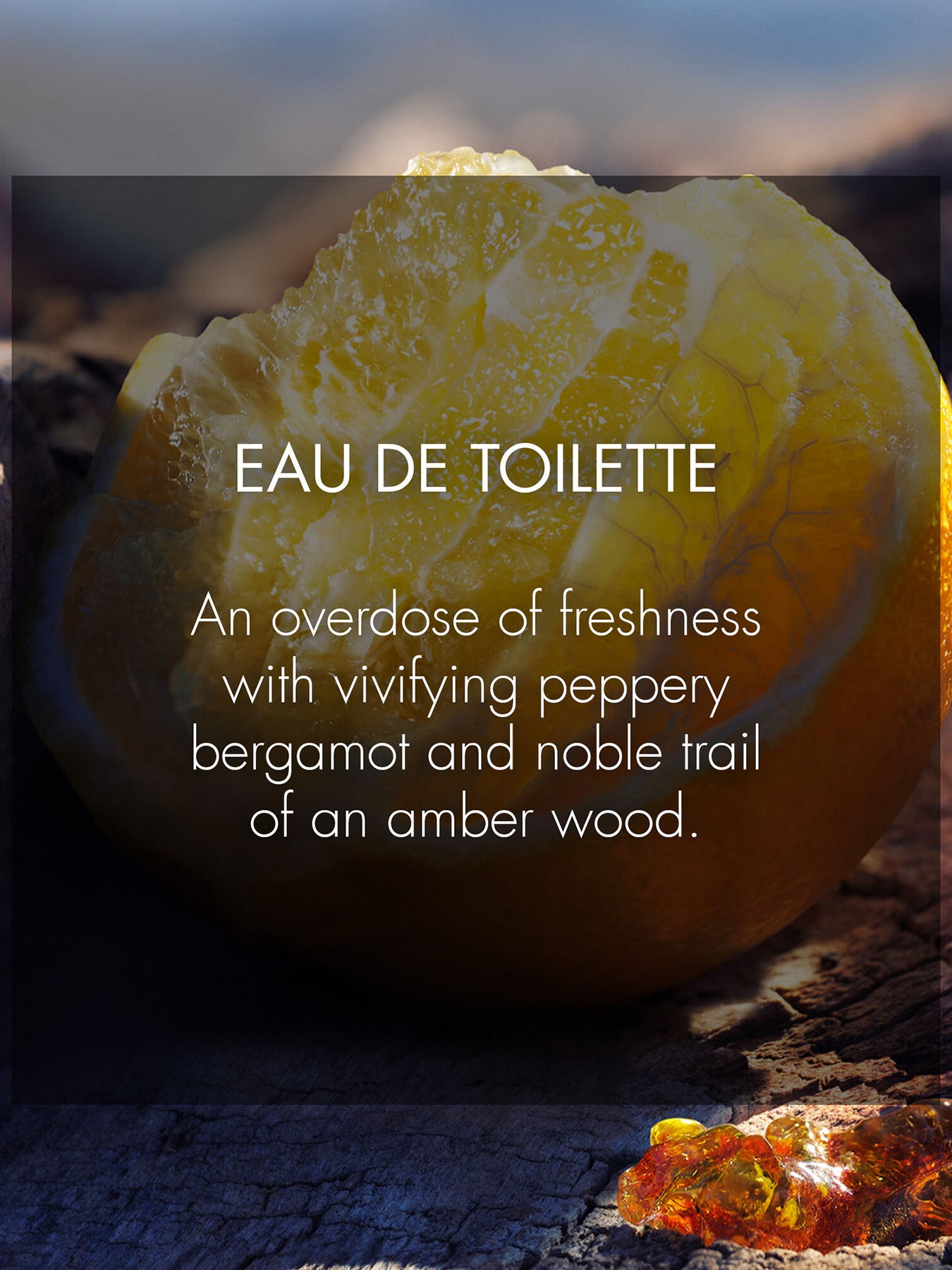 Sauvage Eau de Toilette Refillable 100ml