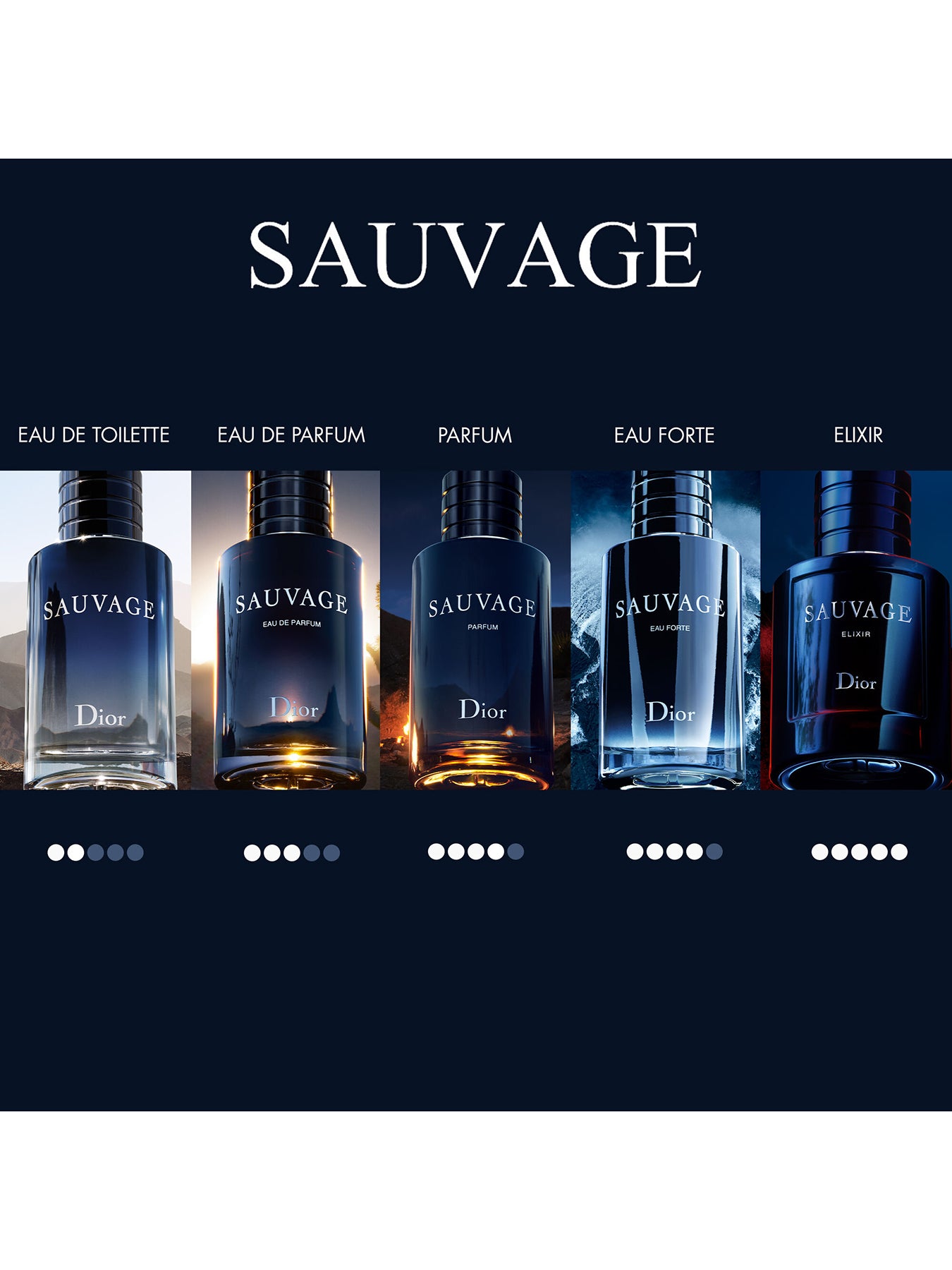 Sauvage Eau de Toilette Refillable 100ml – Fenwick