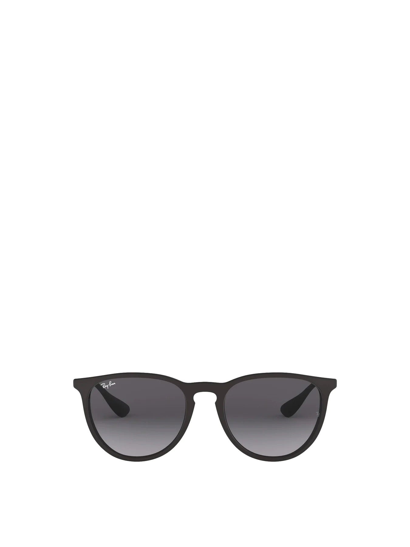 RB4171 Erika Sunglasses