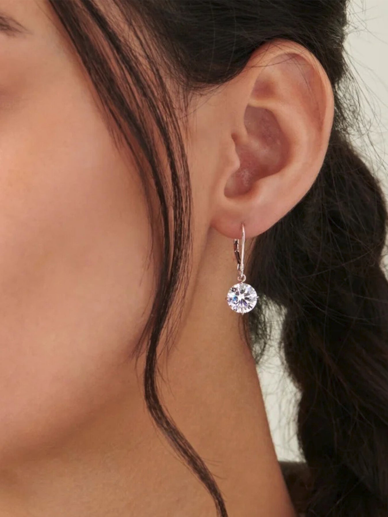 Briar Round Drop Euroback Earrings