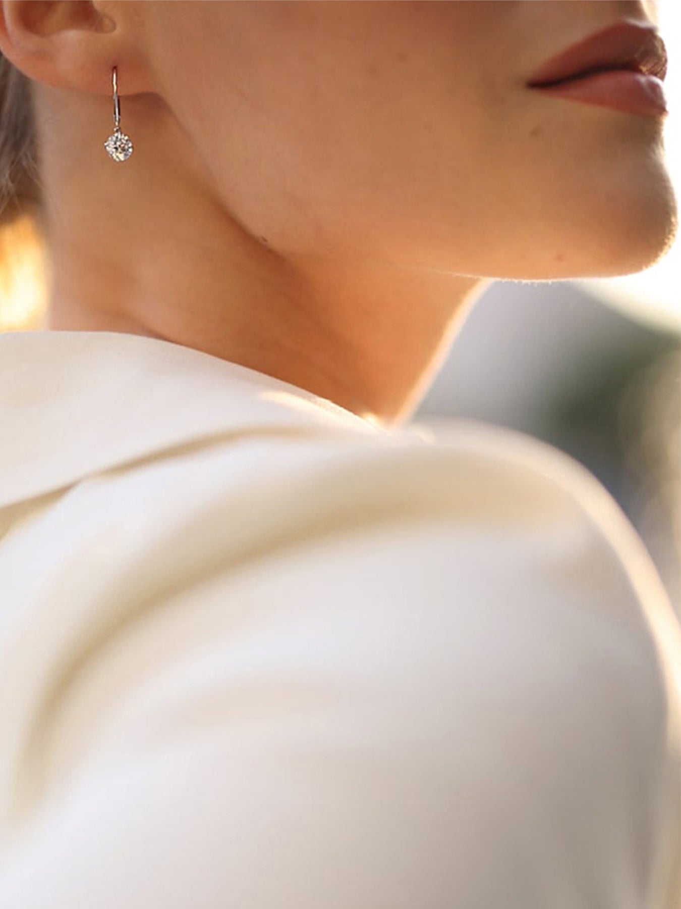 Briar Round Drop Euroback Earrings