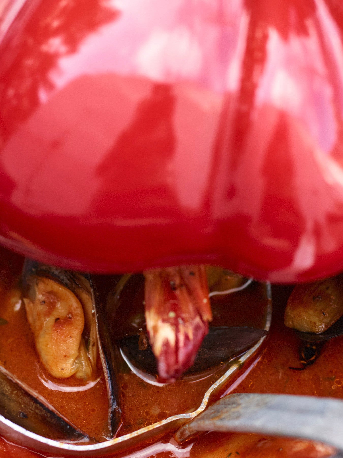 Tomato Cast Iron Cocotte 25cm