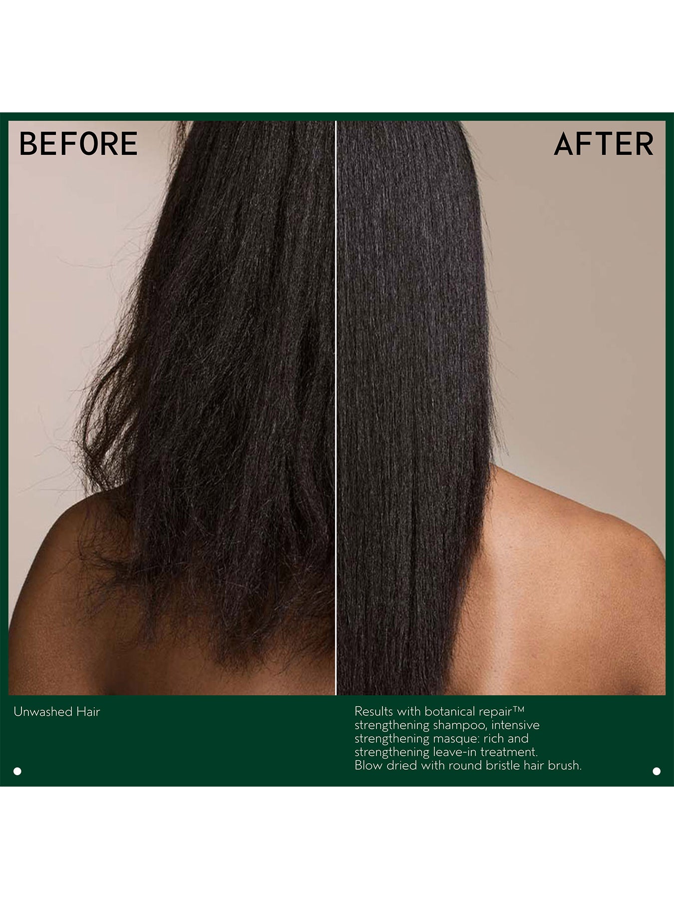 Botanical Repair Intensive Strengthening Masque Rich 450ml