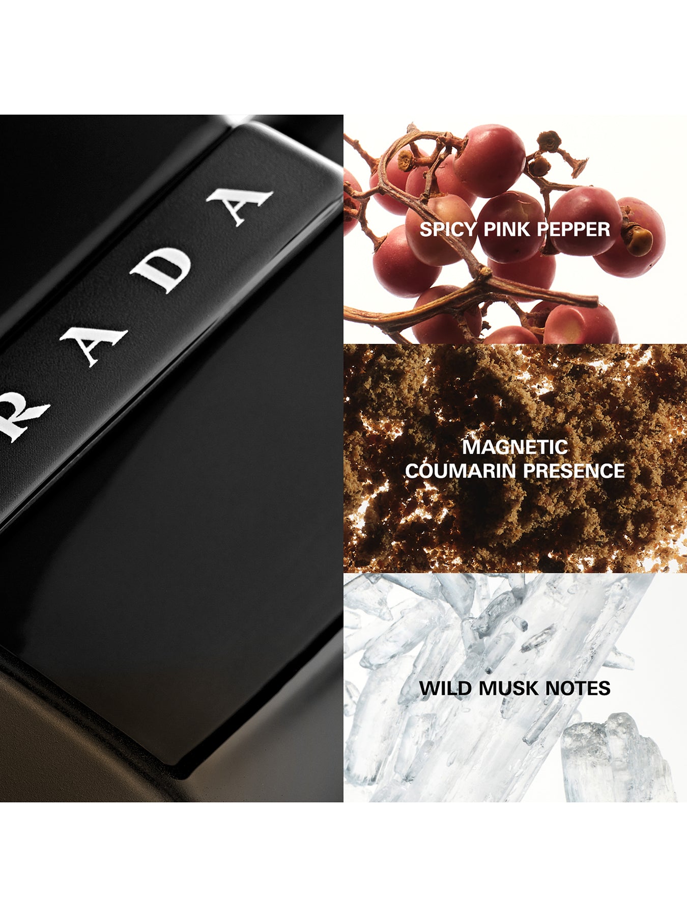 Luna Rossa Black Eau de Parfum 50ml