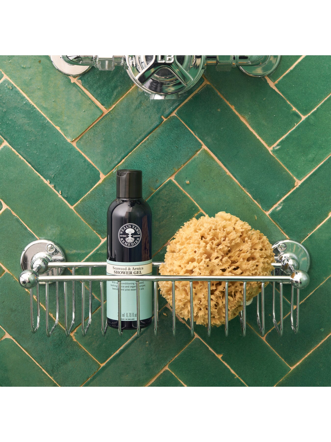 Seaweed and Arnica Shower Gel