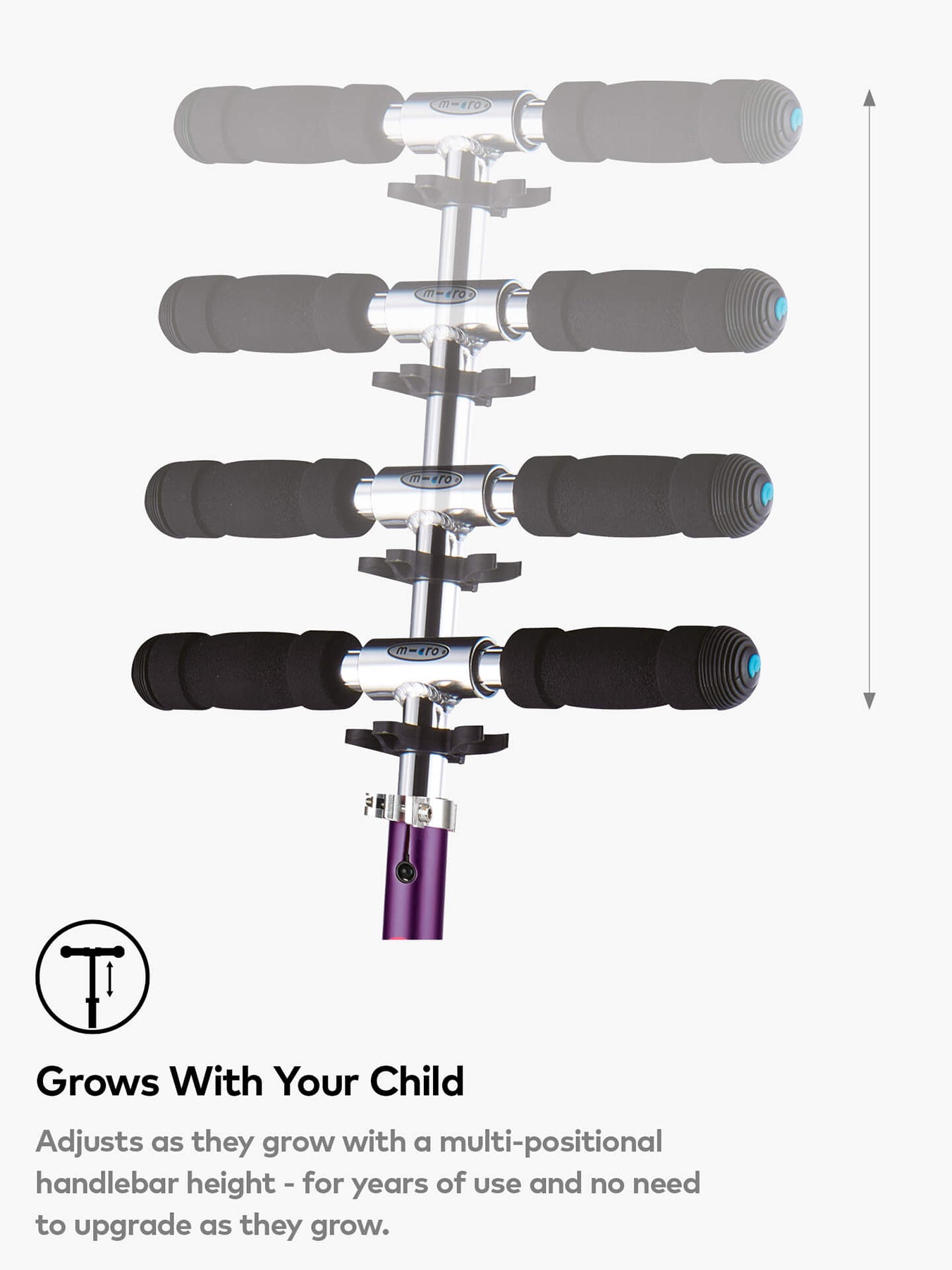 STRIPE SPRITE PURPLE Sa0182 (No Colour)