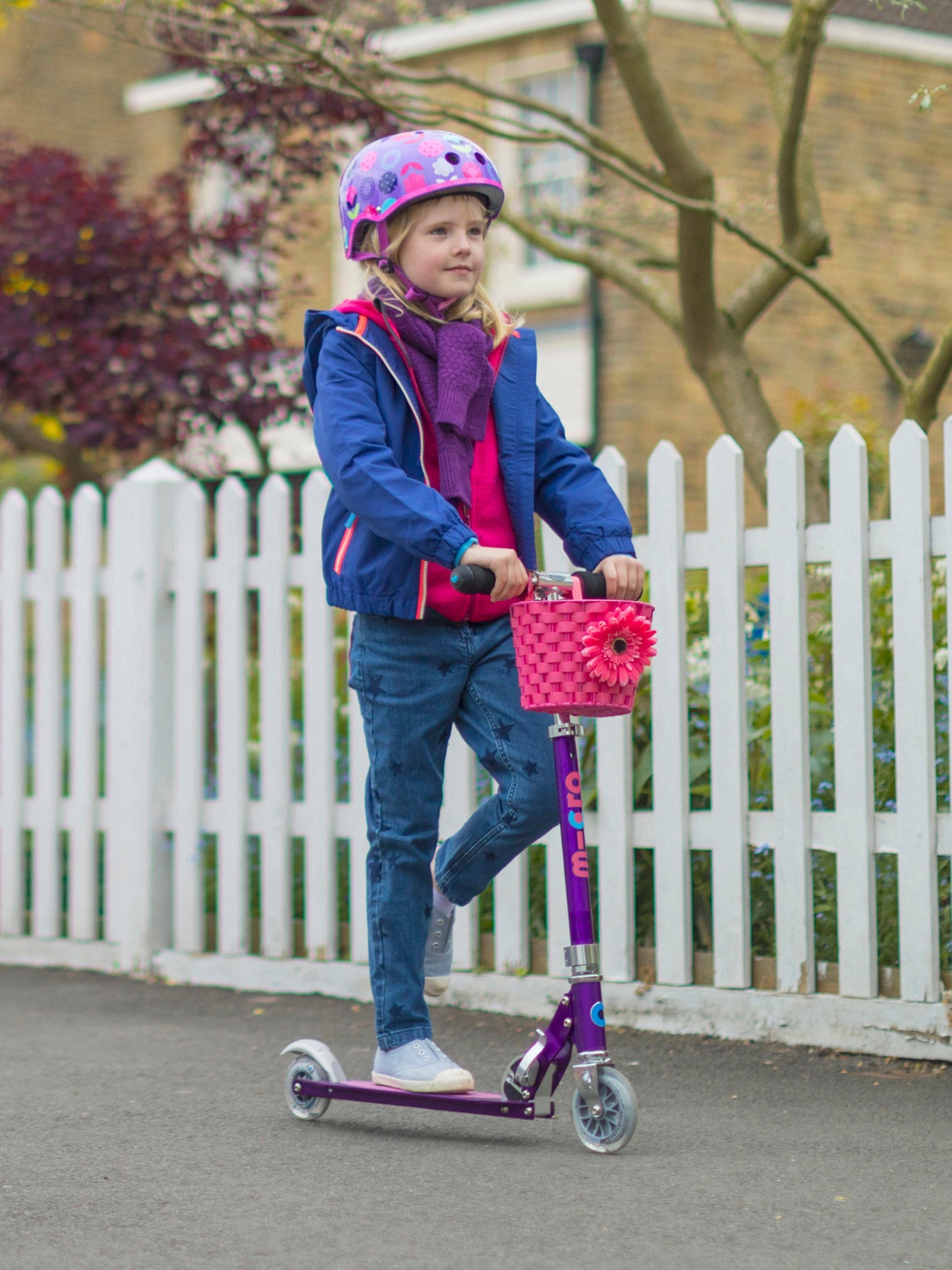 Stripe Sprite Purple