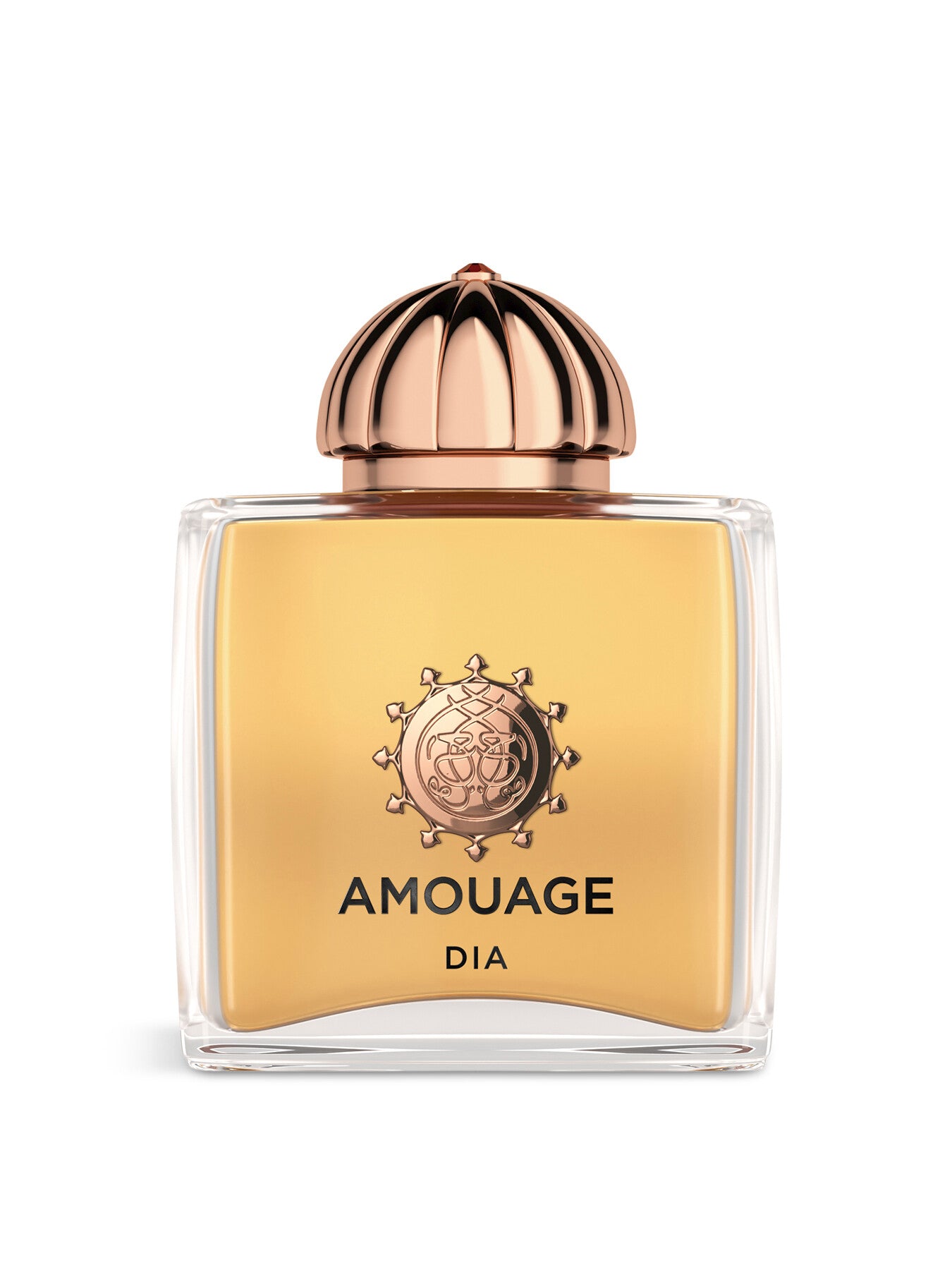 Guidance Eau de Parfum 100ml – Fenwick