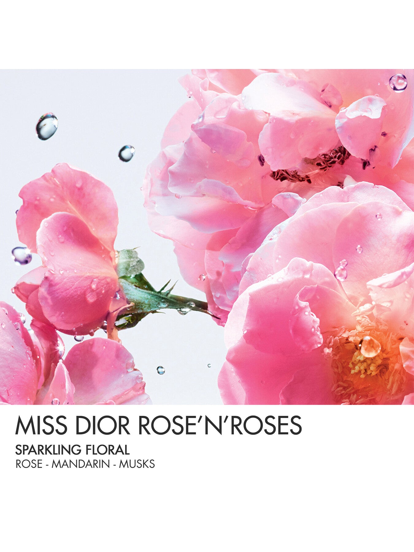 Miss Dior Rose NRoses Eau de Toilette Roller-Pearl 20ml