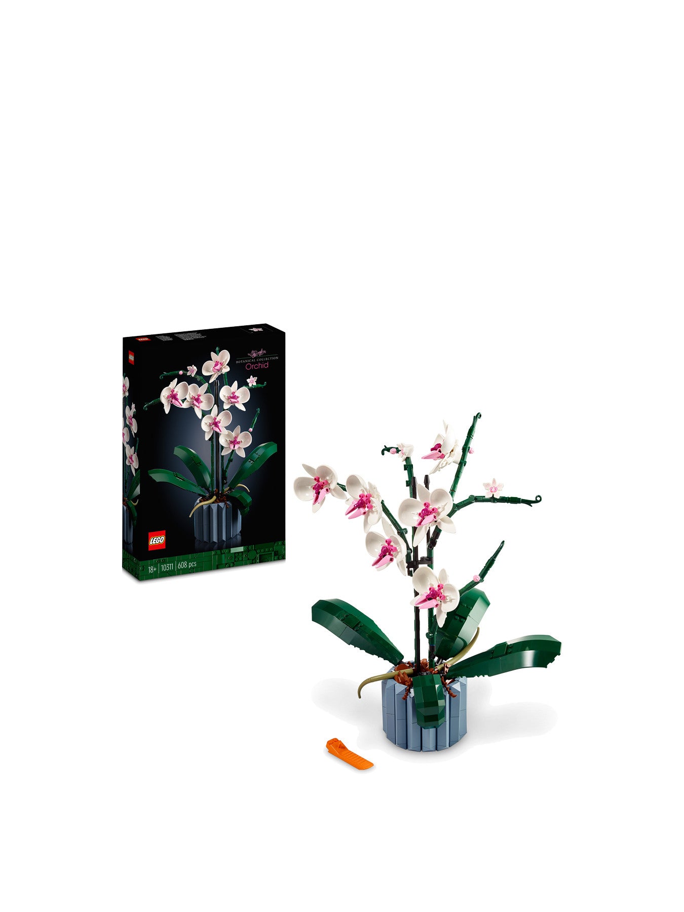 Orchid Plant and Flowers Set for Adults 10311