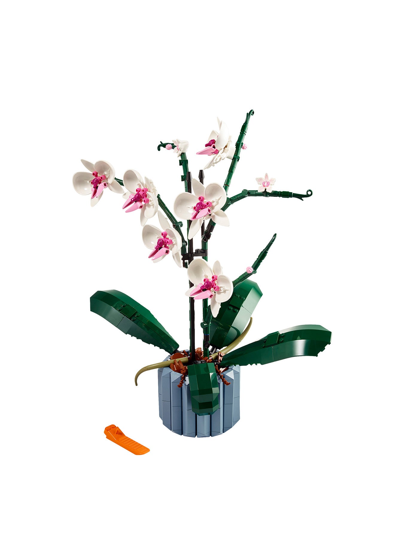 Orchid Plant and Flowers Set for Adults 10311