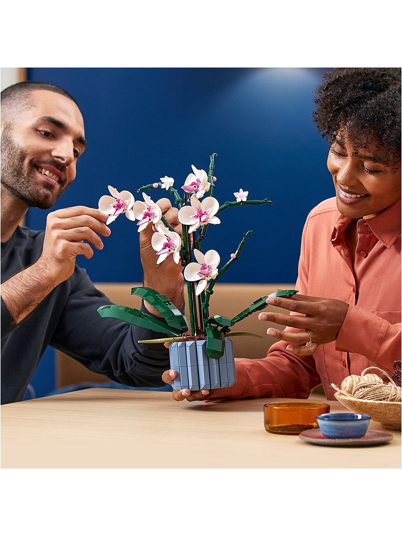Orchid Plant and Flowers Set for Adults 10311