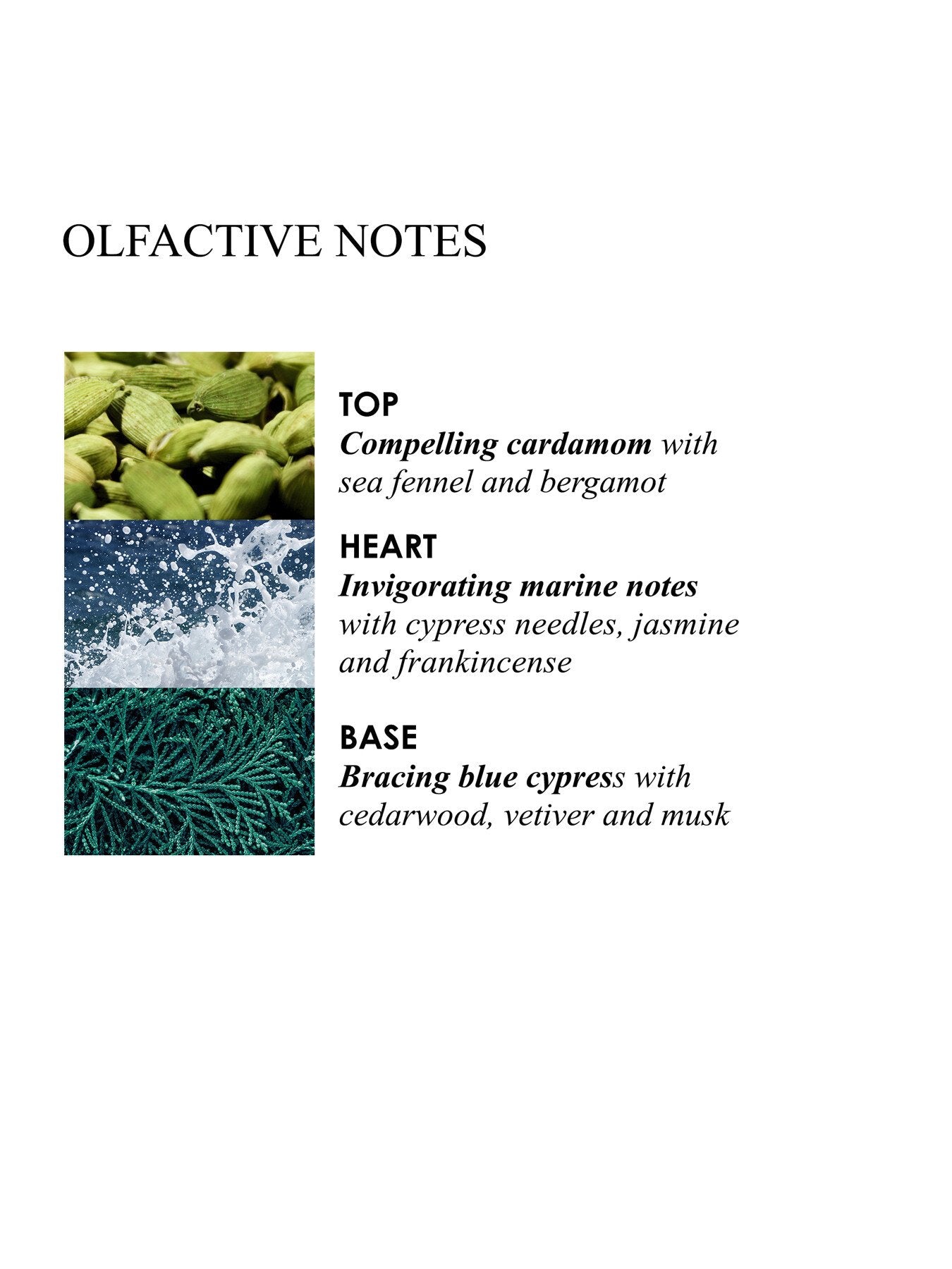 Coastal Cypress Sea Fennel Hand Wash Refill 400ml