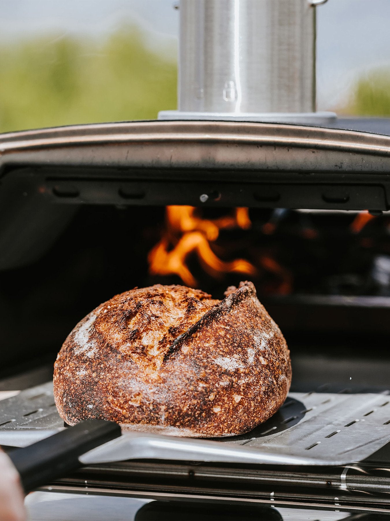 Perforated Peel 12″