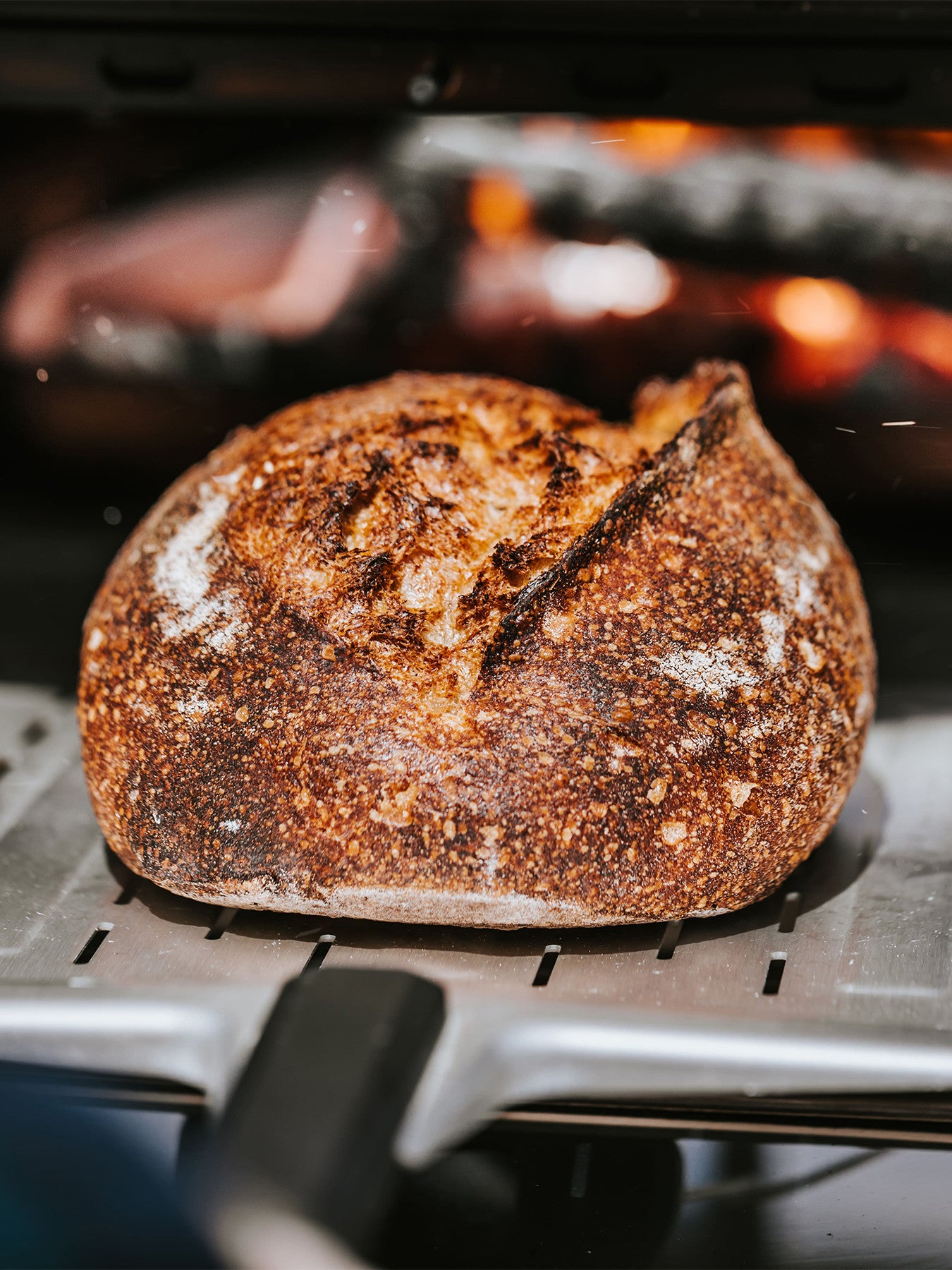 Perforated Peel 14″