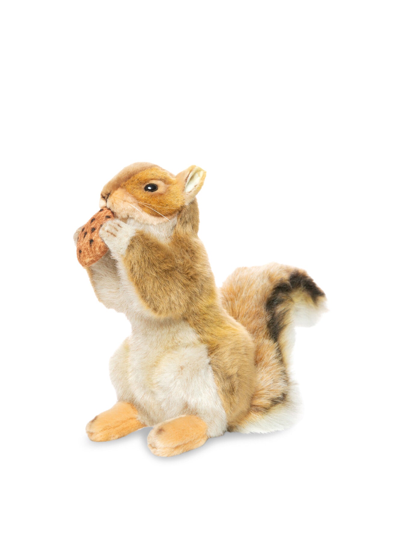 Red Squirrel with Nut