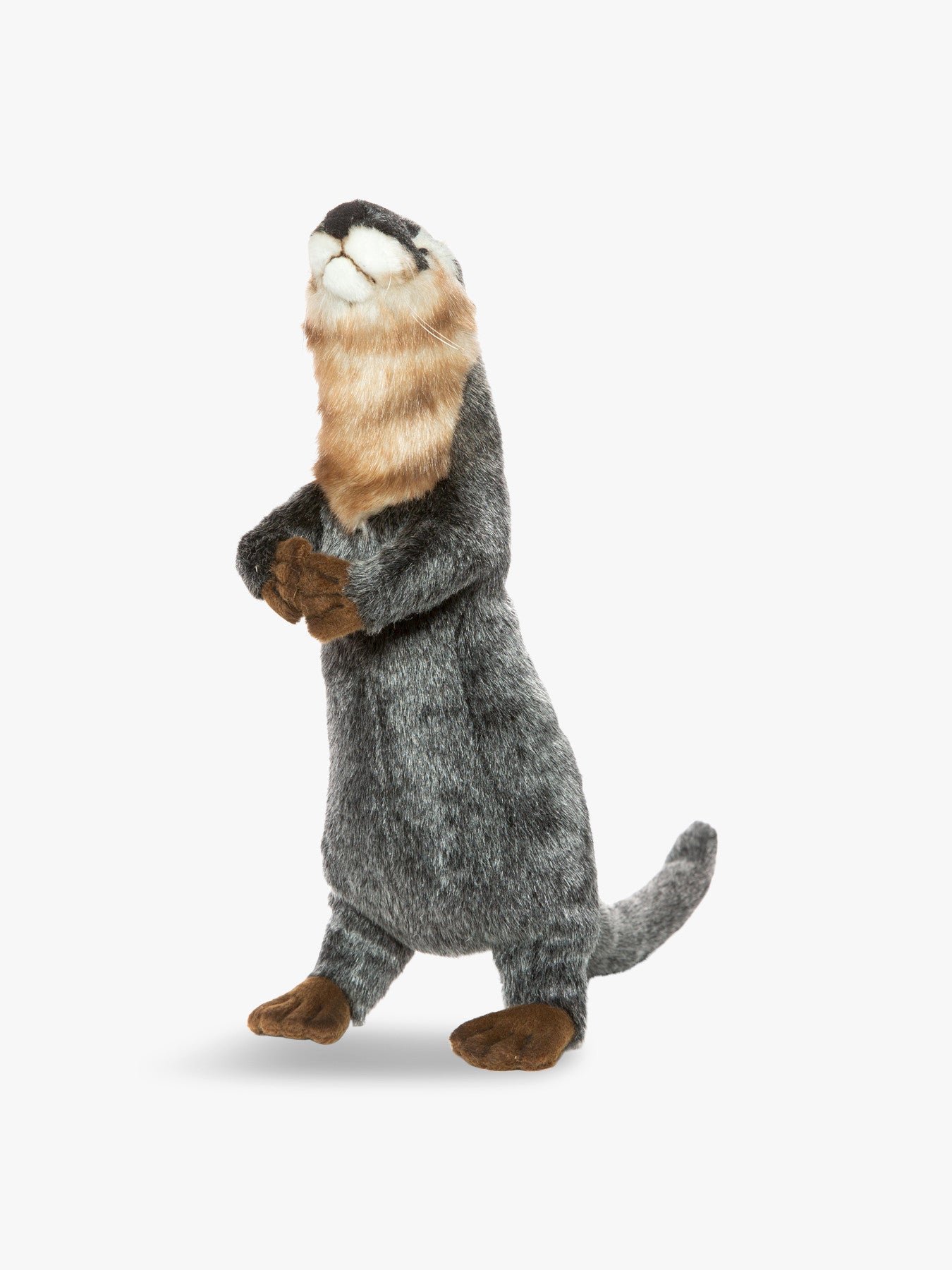 Otter Standing