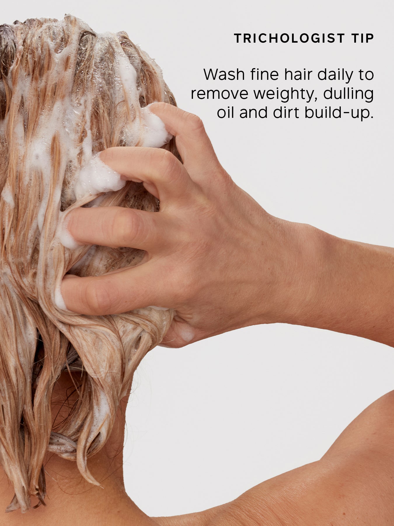 Body Building Discovery Collection