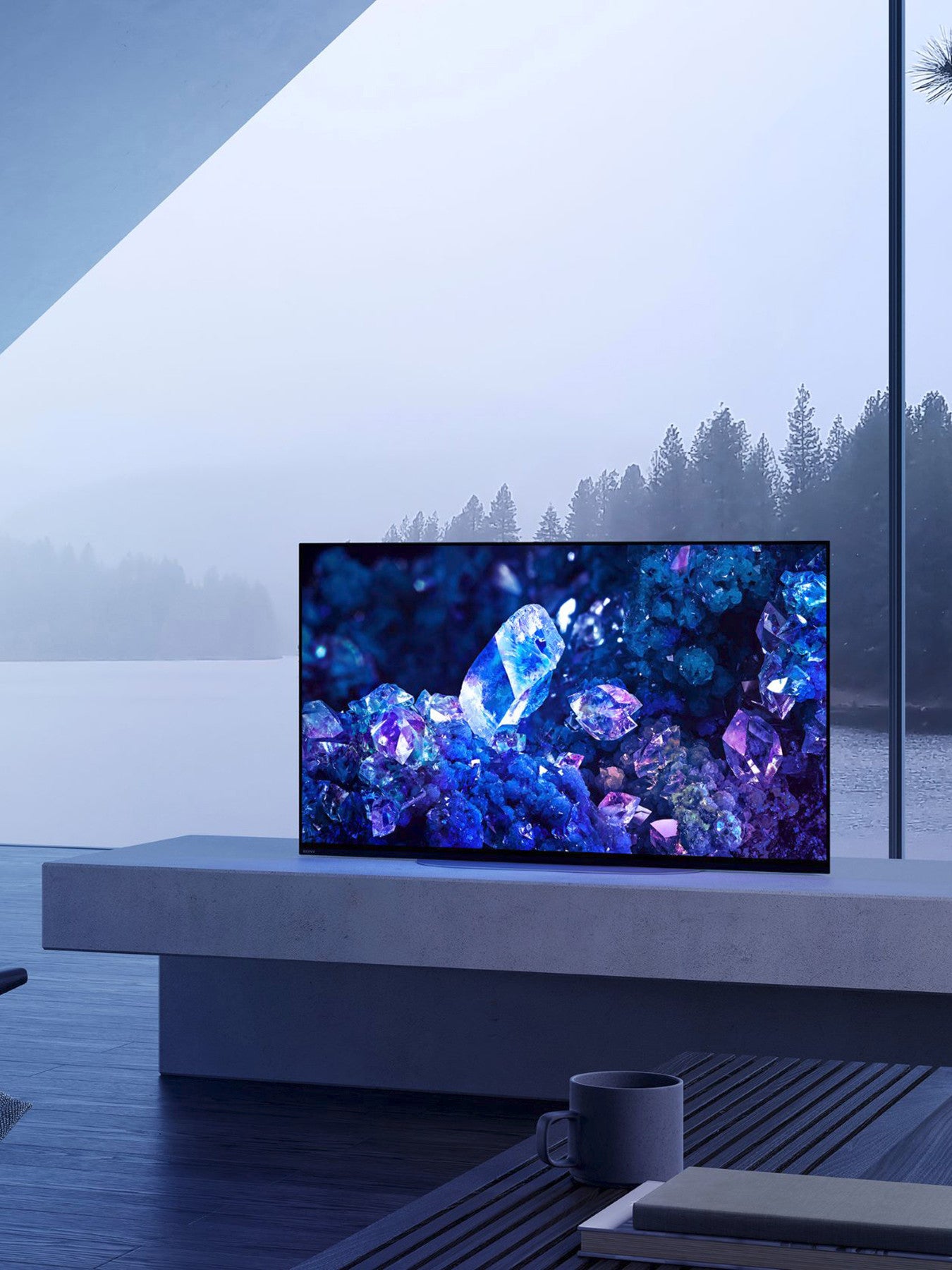 48 OLED Master Series 4k HDR TV 2022 XR48A90KU