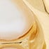 Gold/Pearl