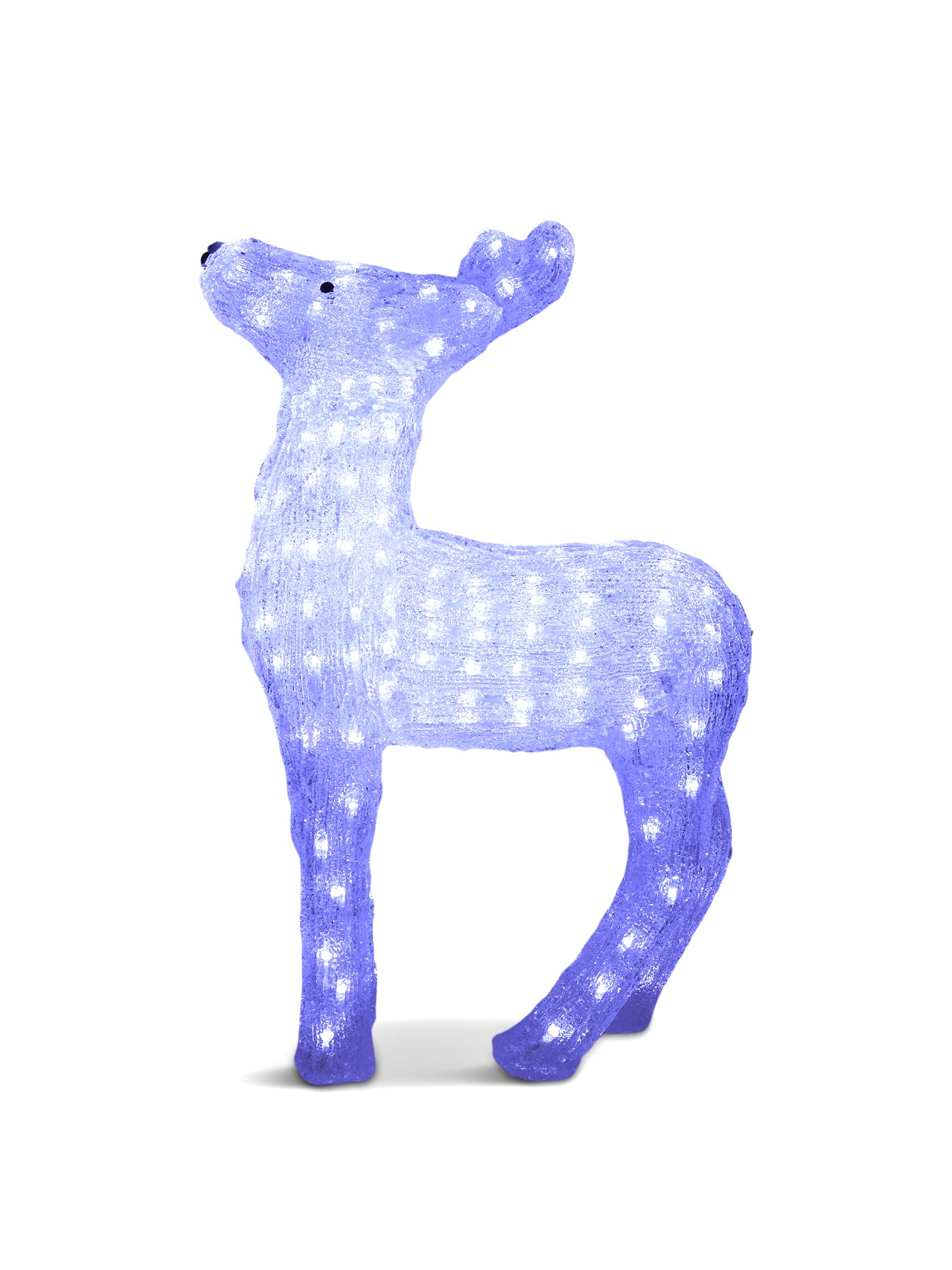 Acrylic Reindeer With White Led 60cm