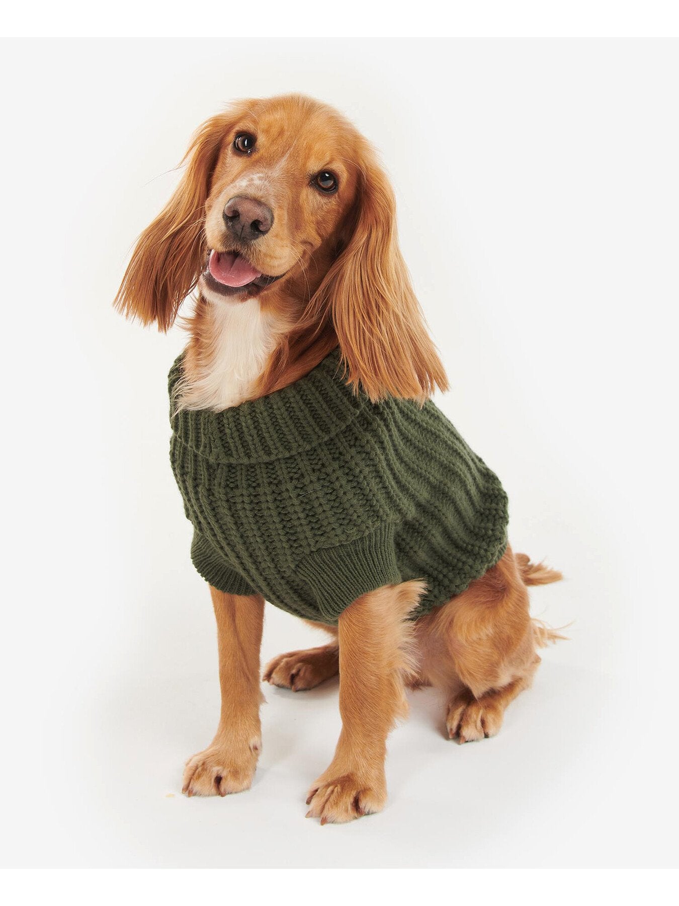 Saltburn Dog Jumper Olive Medium
