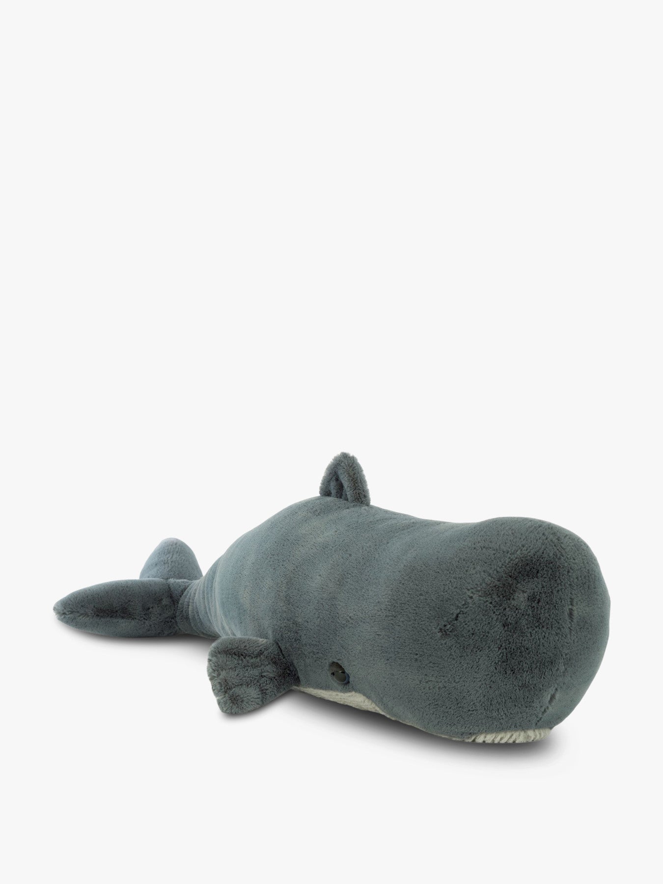 Sullivan the Sperm Whale