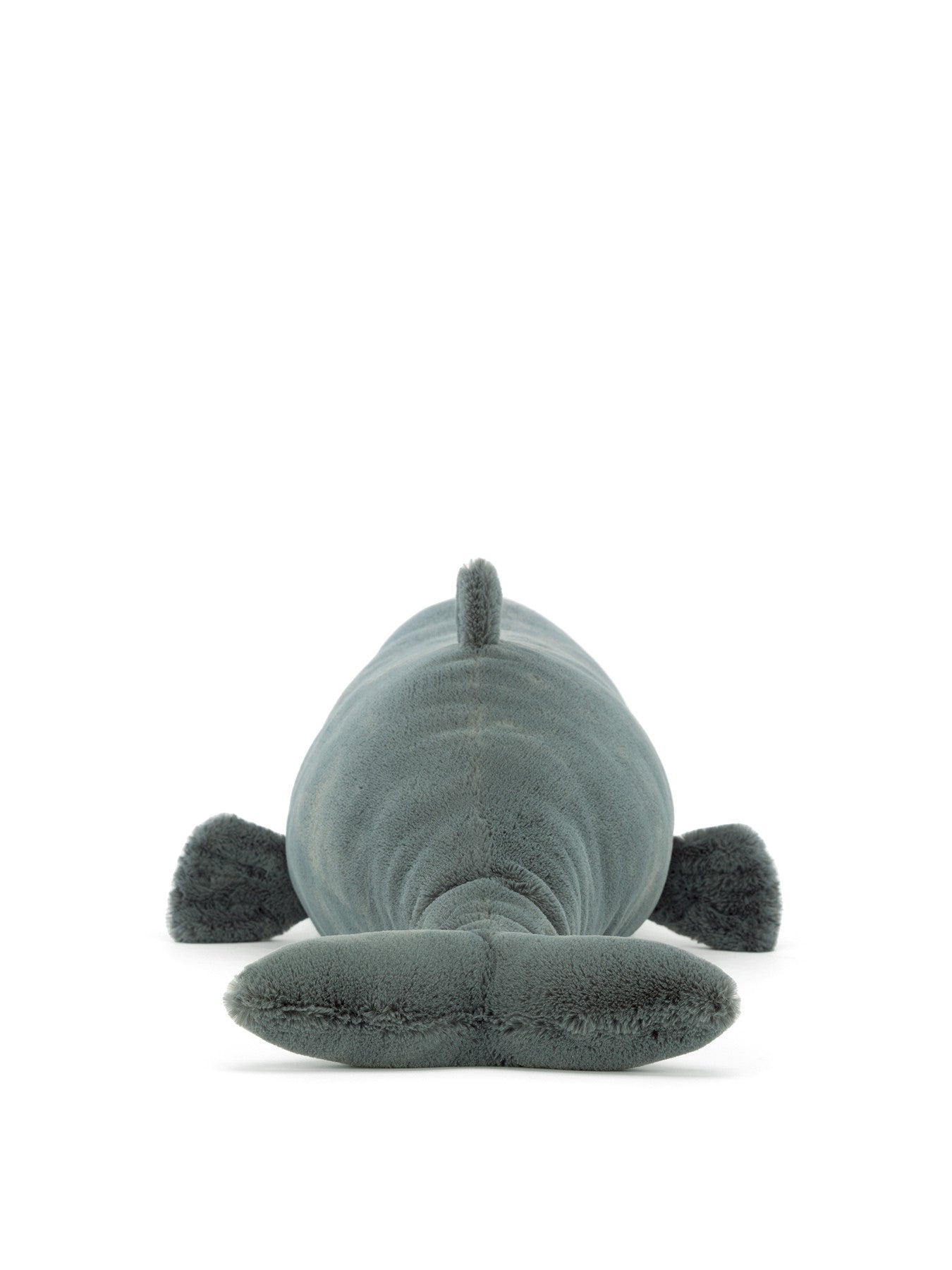 Sullivan the Sperm Whale