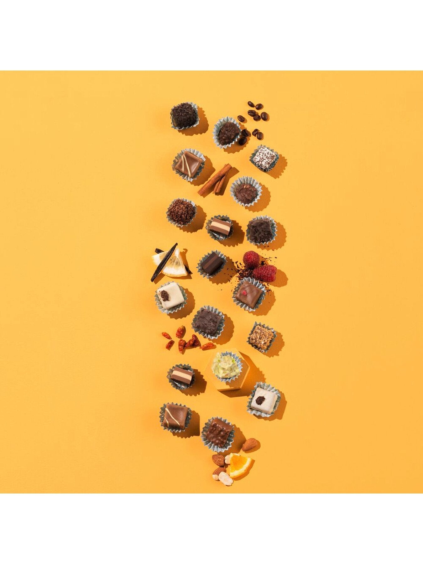 Assorted Selection of Pralines Gift Box 100g