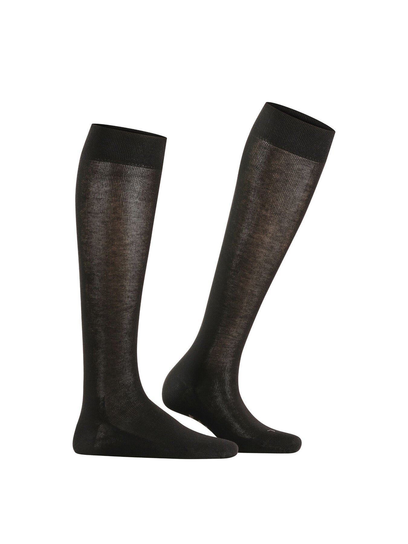 Sensitive London Knee High