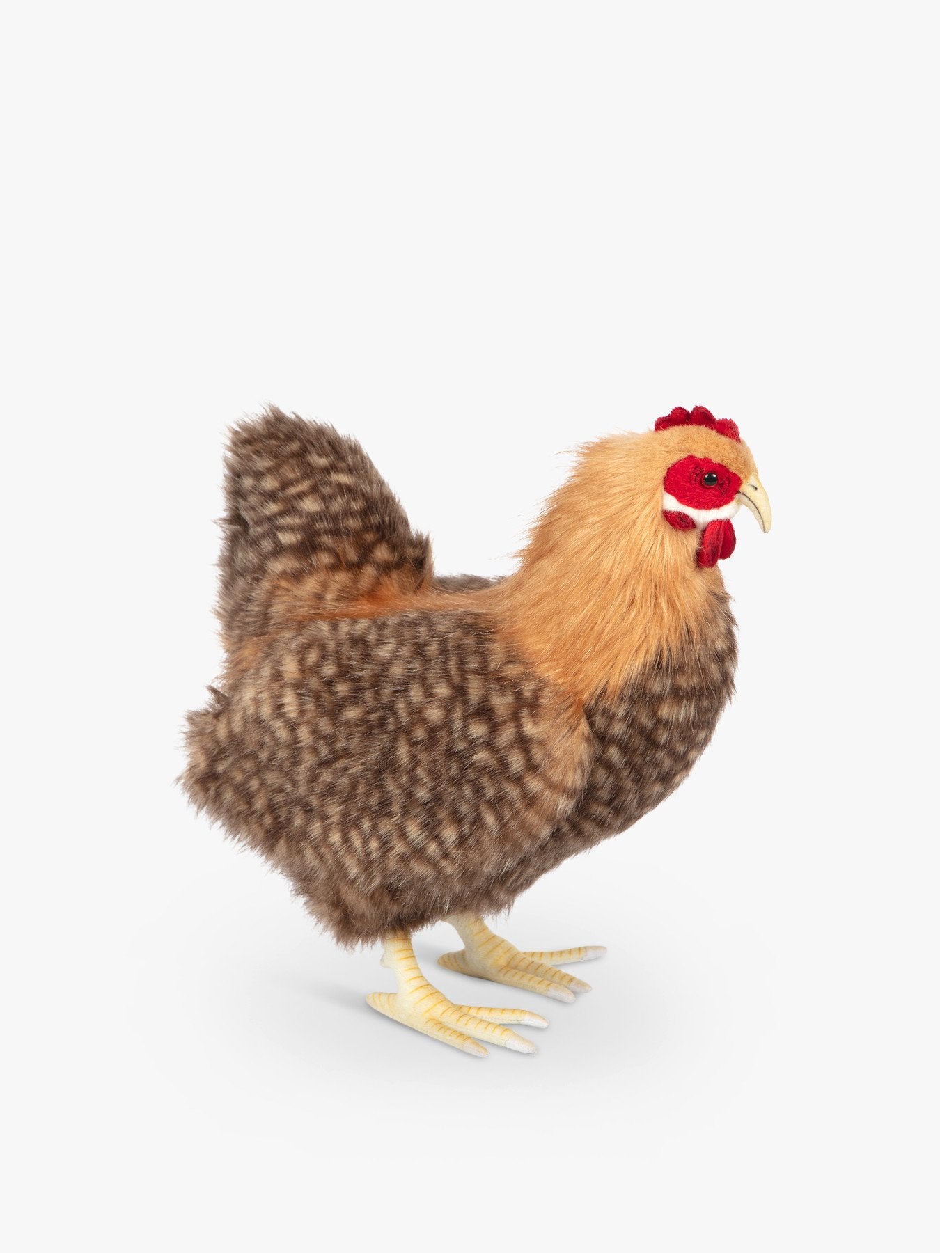 Hen Beige