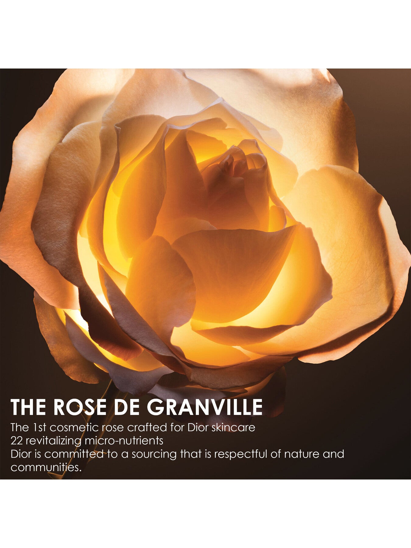 Dior Prestige La Crème Essentielle 50ml