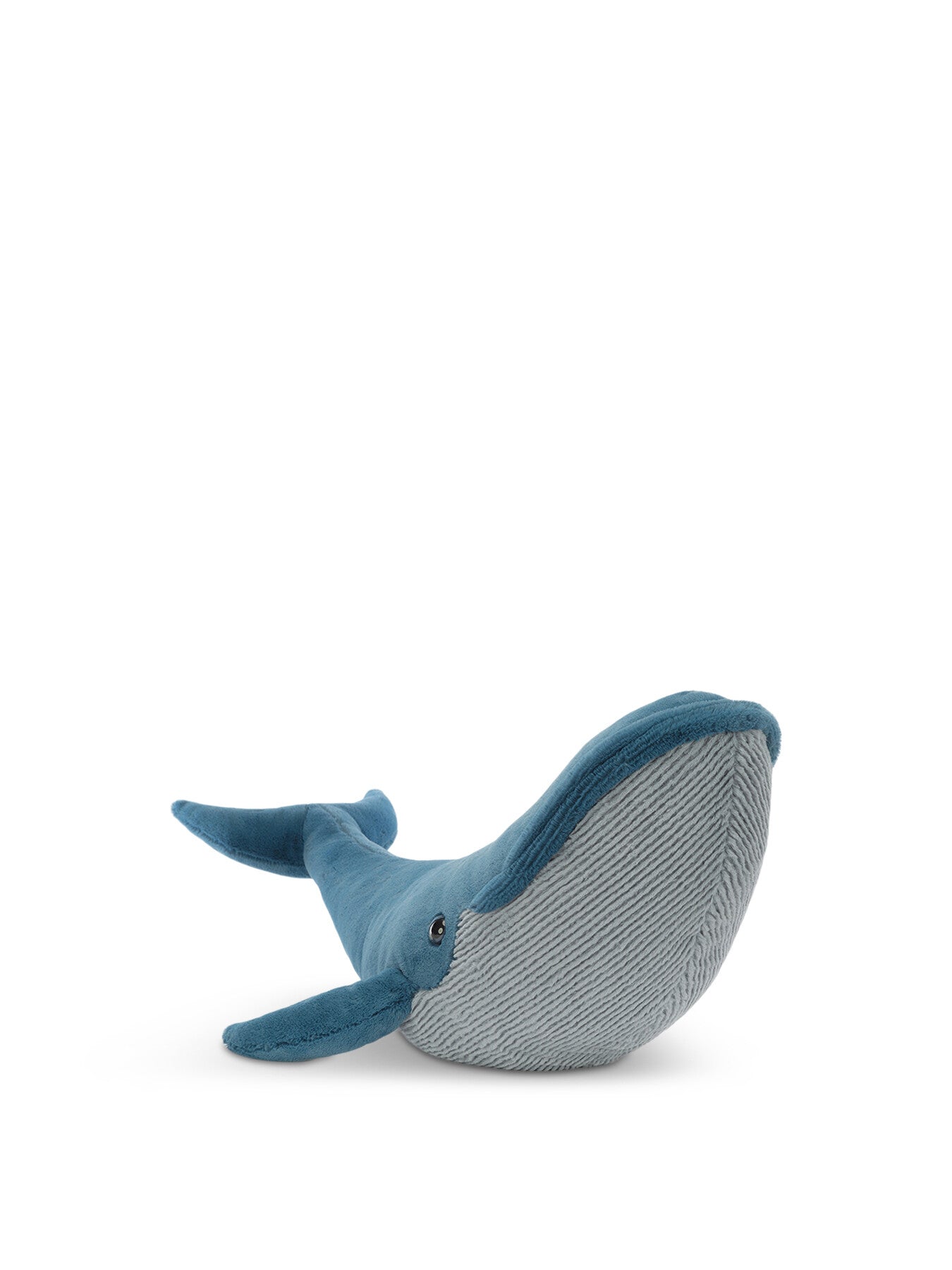 Gilbert the Great Blue Whale