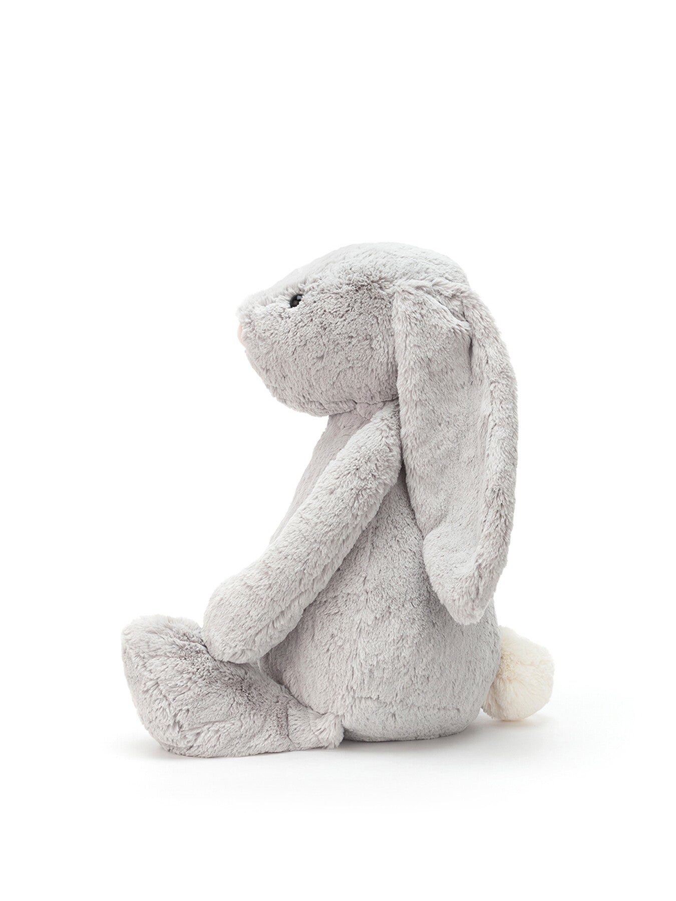 Bashful Silver Bunny Really Big