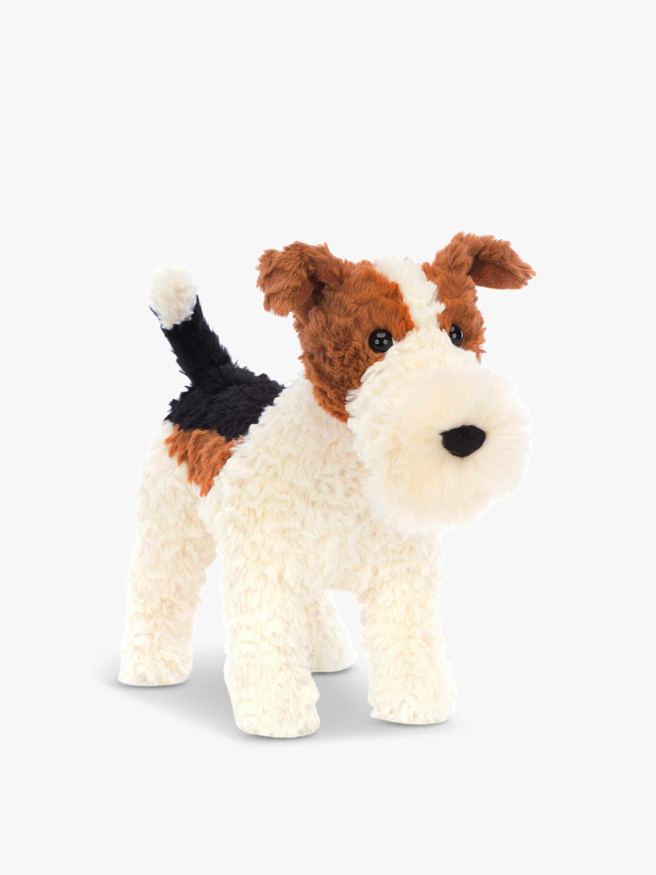 Hector Fox Terrier