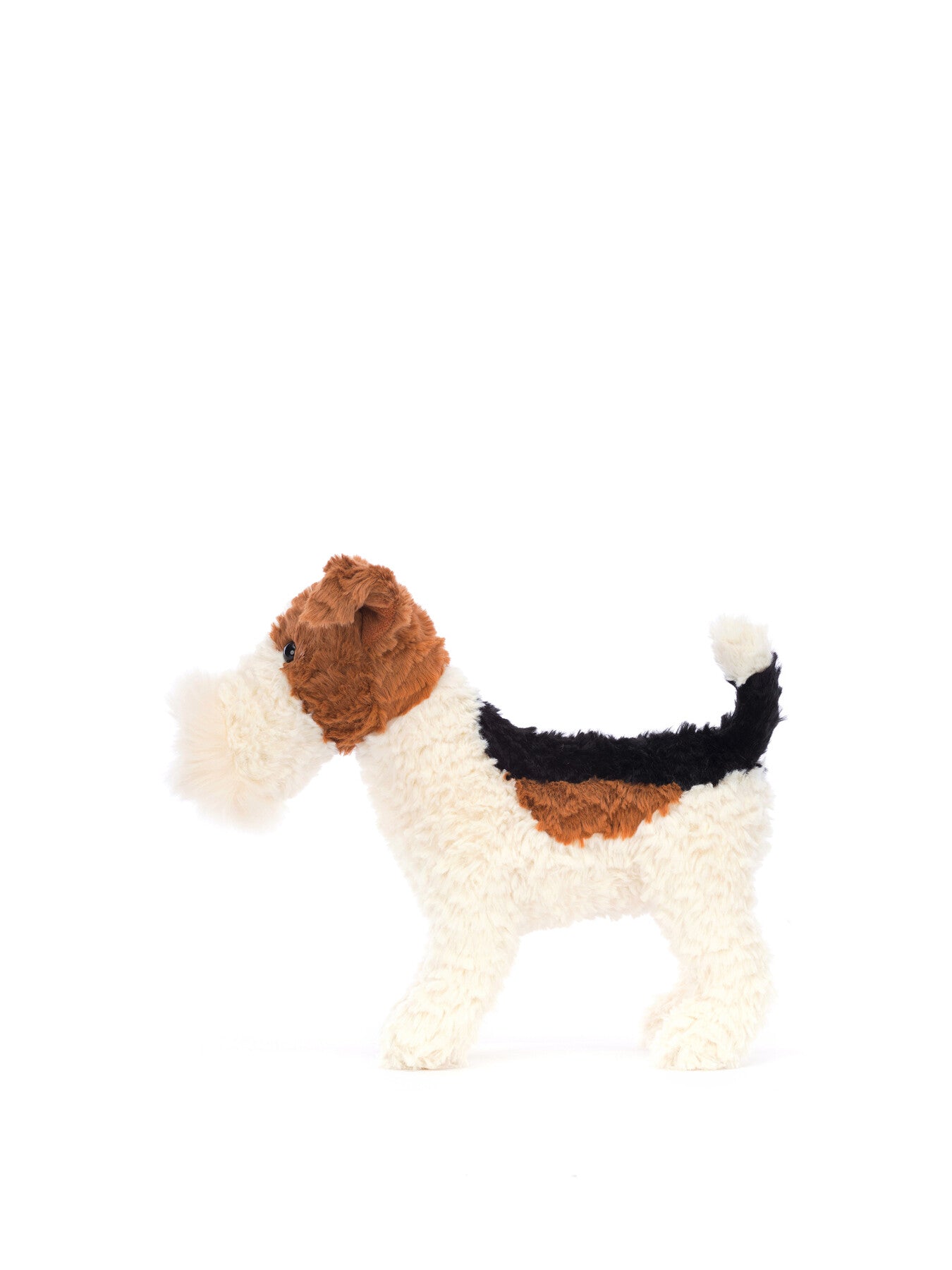 Hector Fox Terrier