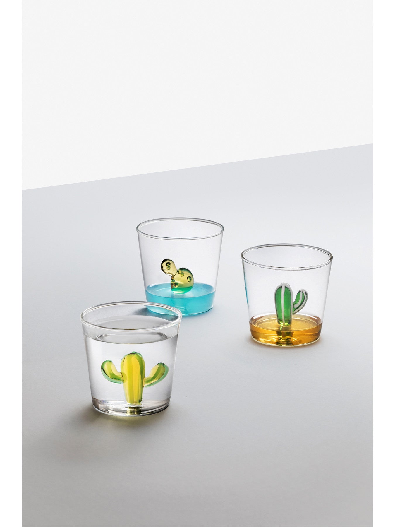 Desert Plants Cactus Tumbler