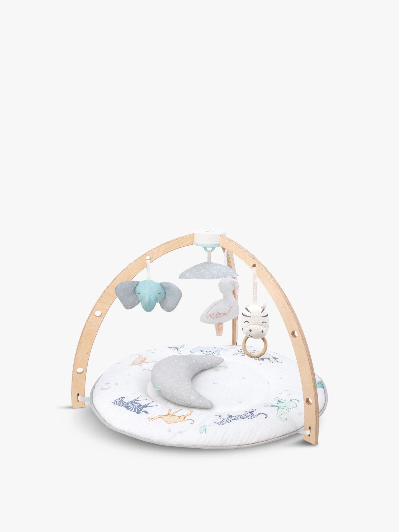 Play Discover Activity Gym