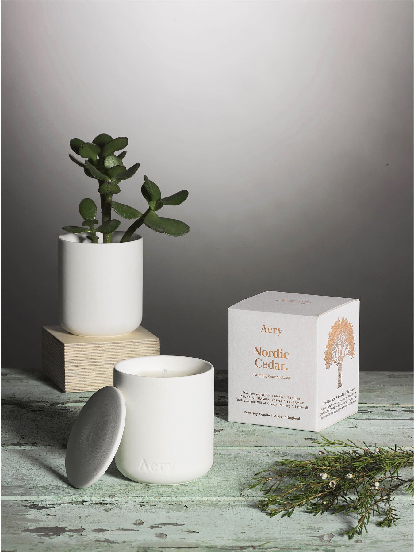 Nordic Cedar Fernweh Candles