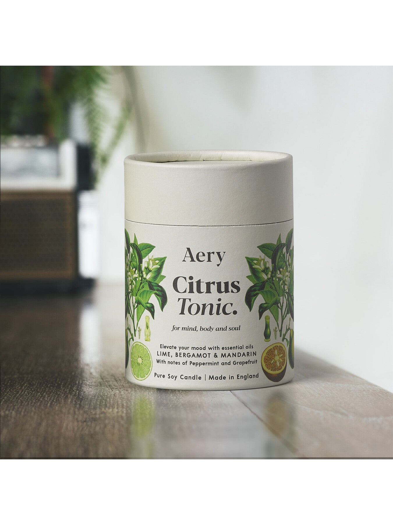 Citrus Tonic Botanical Candle