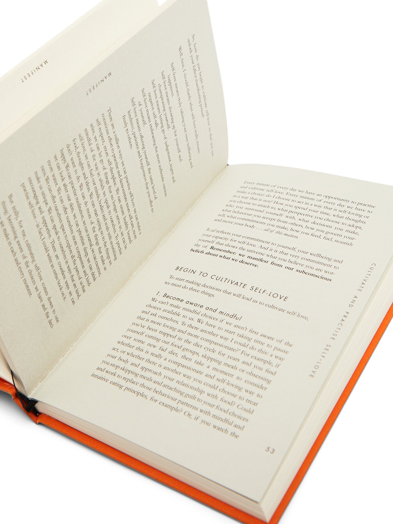 Manifest 7 Steps To Living Your Best Life