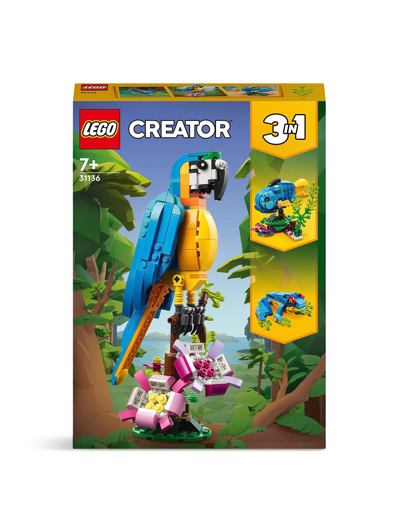 Exotic Parrot 31136