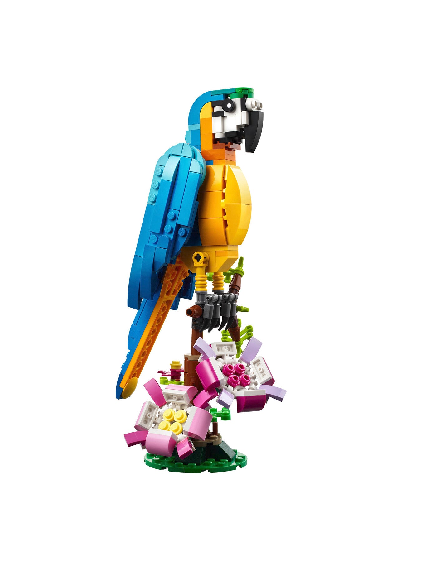 Exotic Parrot 31136