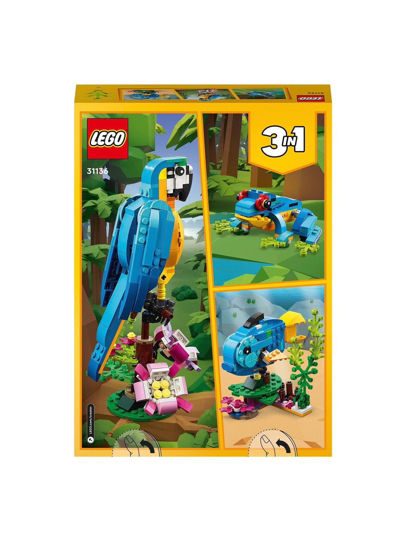 Exotic Parrot 31136