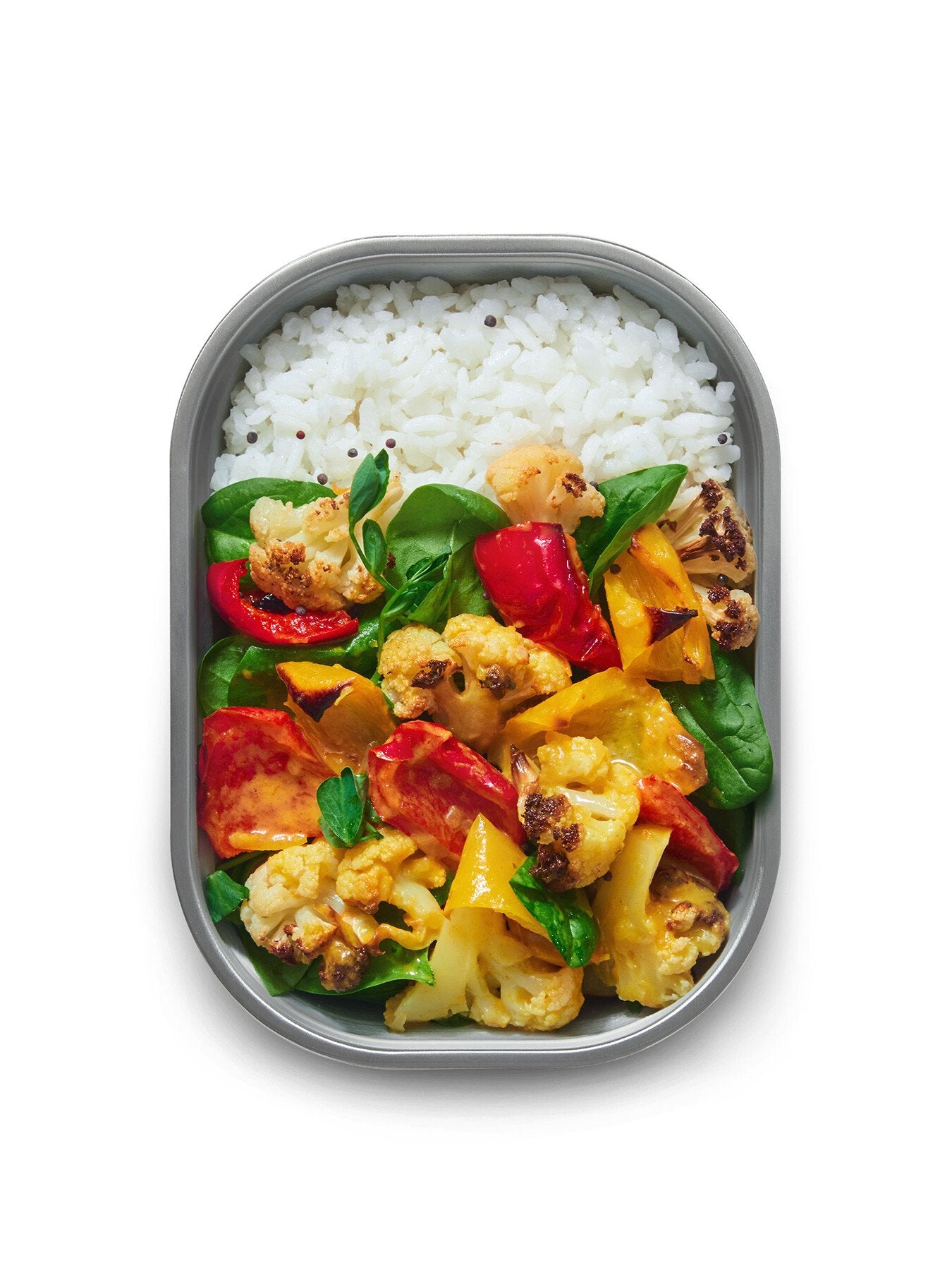 Multi Function Medium Rectangular Food Box