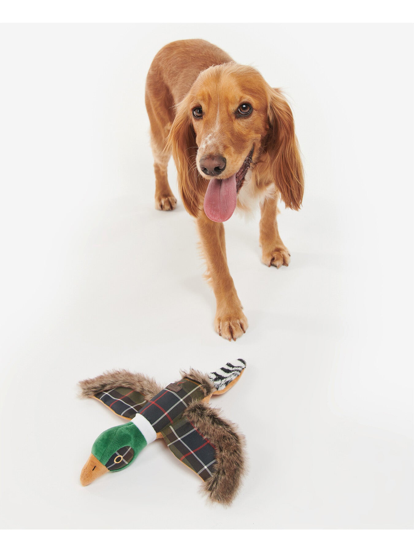 Pheasant Dog Toy