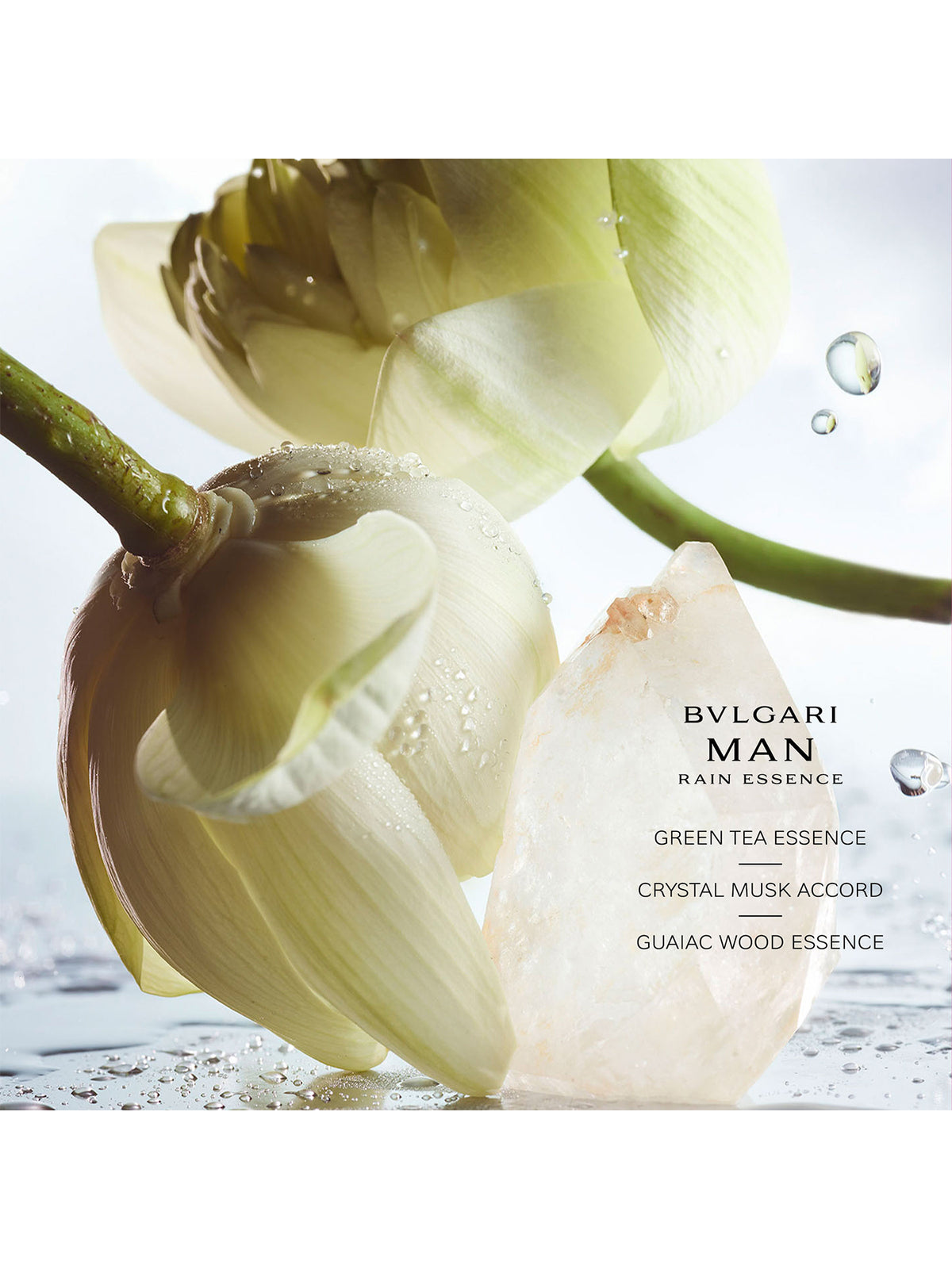 MAN Rain Essence Eau de Parfum 100ml