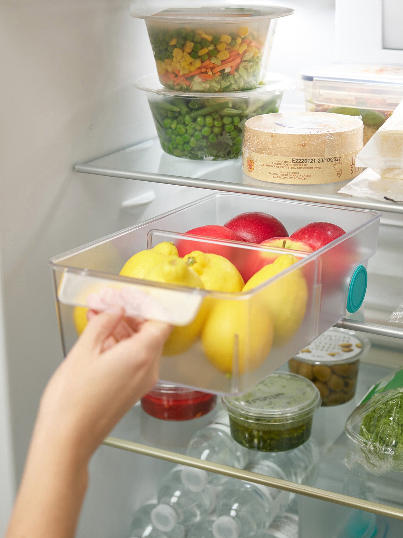 FridgeStore Large Storage Bin