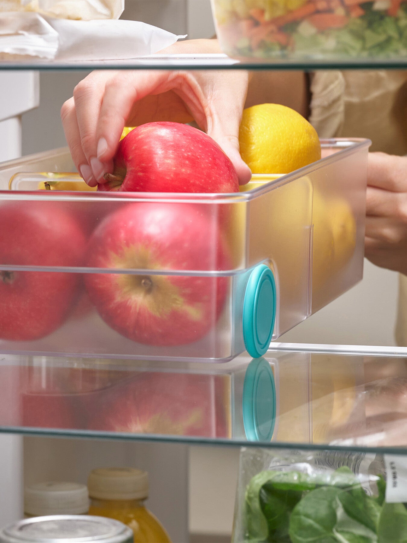 FridgeStore Large Storage Bin