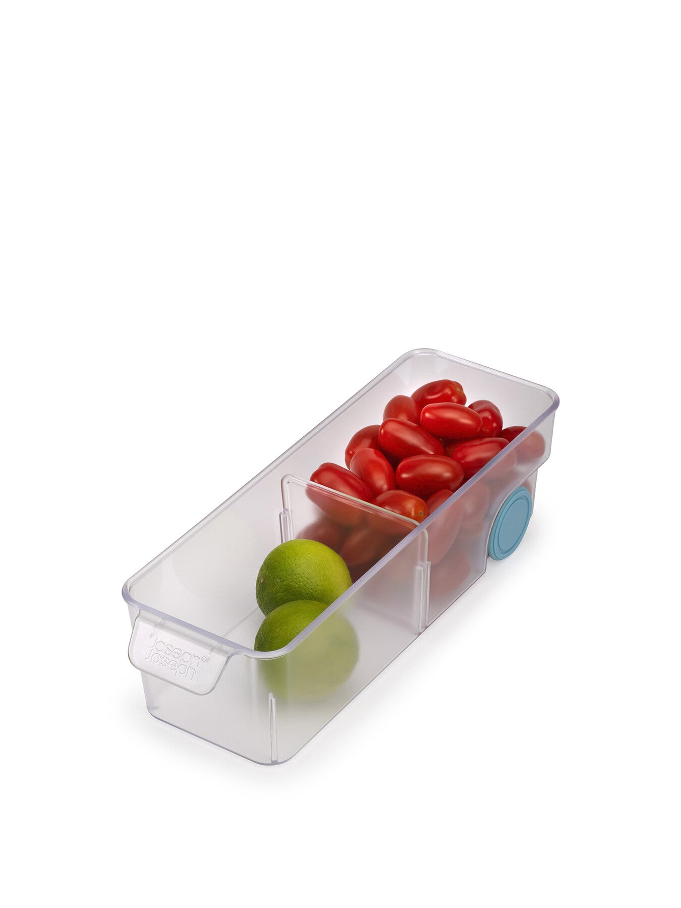 FridgeStore Small Storage Bin